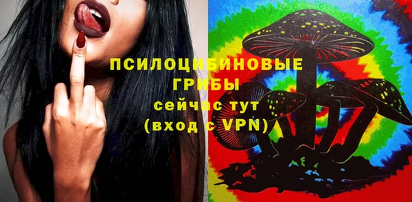 стафф Абаза