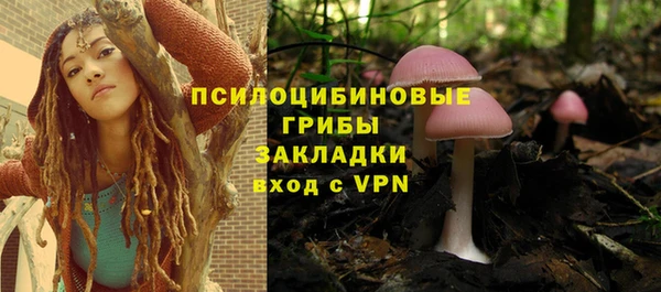 стафф Абаза