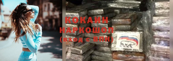 ешки Медногорск