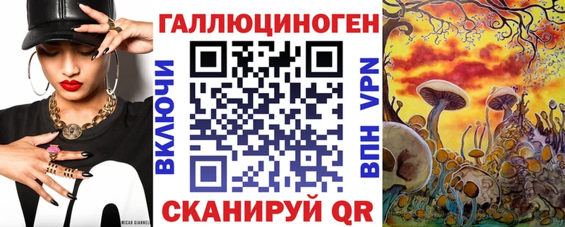 ссылка на мегу рабочий сайт  Сольцы  Псилоцибиновые грибы Psilocybe 